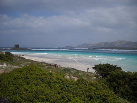Stintino, spiaggia "La pelosa" d'inverno
